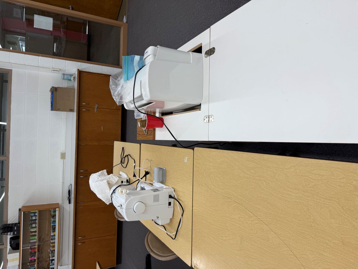 Craft/Sewing Room